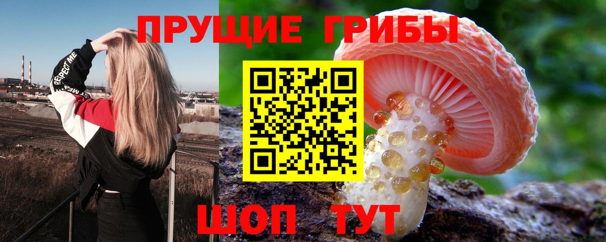 Псилоцибиновые грибы прущие грибы Нижневартовск
