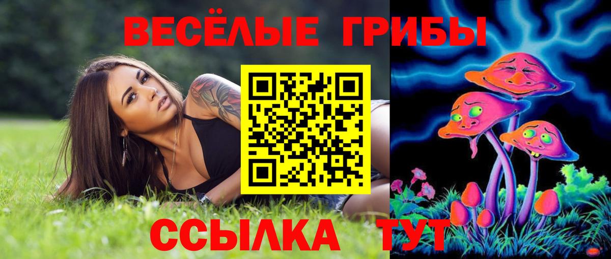 Нижневартовск  Псилоцибиновые грибы мицелий  Вход с VPN 